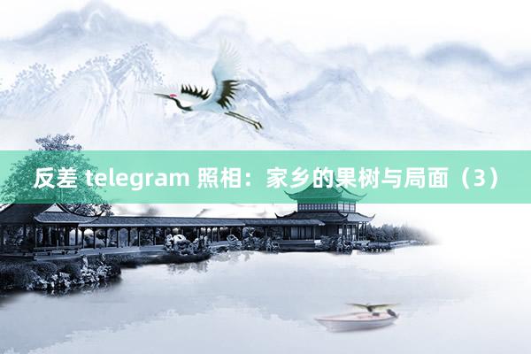 反差 telegram 照相：家乡的果树与局面（3）