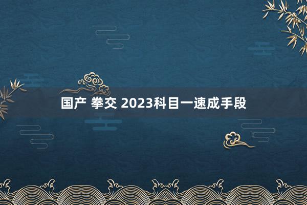 国产 拳交 2023科目一速成手段