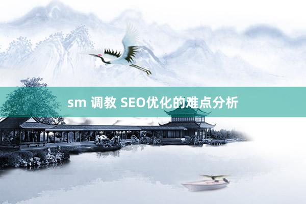 sm 调教 SEO优化的难点分析