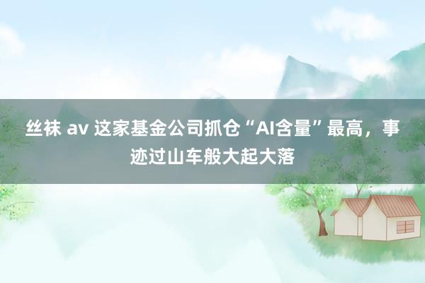 丝袜 av 这家基金公司抓仓“AI含量”最高，事迹过山车般大起大落