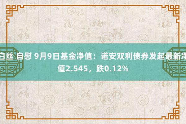 白丝 自慰 9月9日基金净值：诺安双利债券发起最新净值2.545，跌0.12%