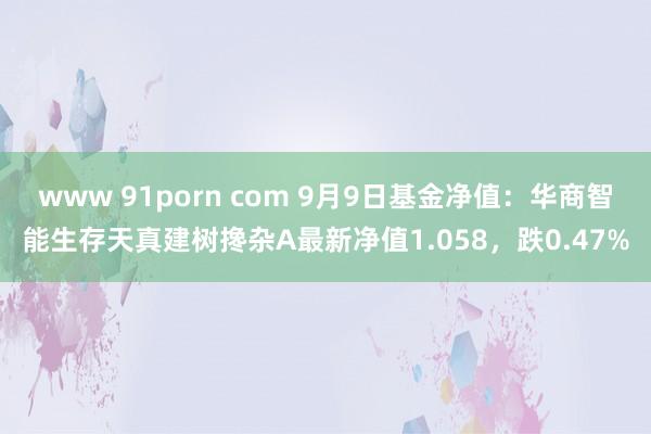 www 91porn com 9月9日基金净值：华商智能生存天真建树搀杂A最新净值1.058，跌0.47%