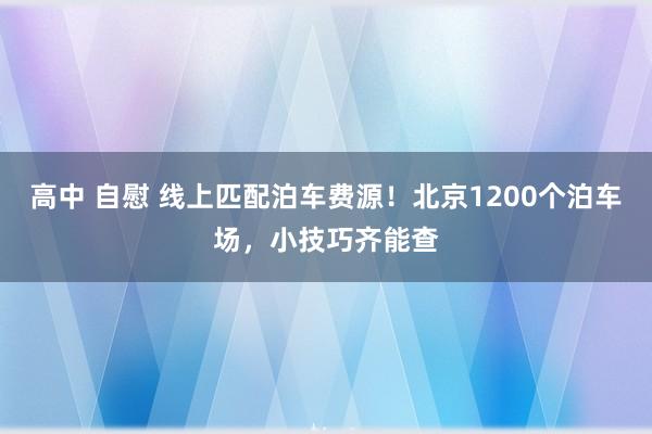 高中 自慰 线上匹配泊车费源！北京1200个泊车场，小技巧齐能查