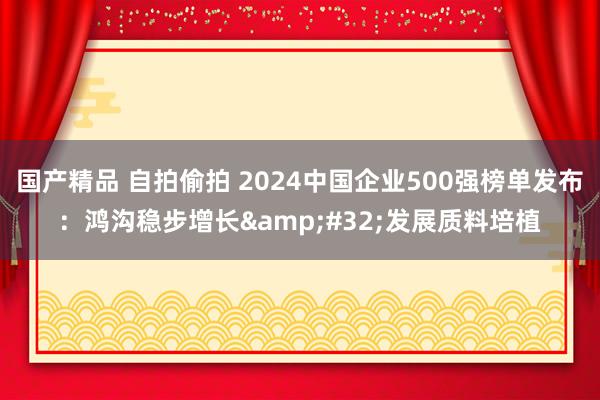 国产精品 自拍偷拍 2024中国企业500强榜单发布：鸿沟稳步增长&#32;发展质料培植