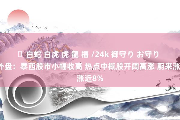 ✨白蛇 白虎 虎 龍 福 /24k 御守り お守り 隔夜外盘：泰西股市小幅收高 热点中概股开阔高涨 蔚来涨近8%