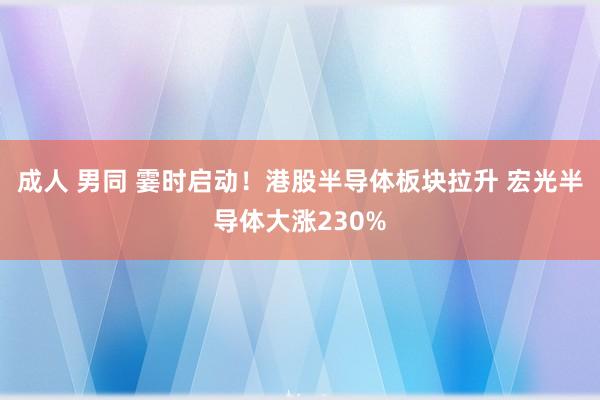 成人 男同 霎时启动！港股半导体板块拉升 宏光半导体大涨230%