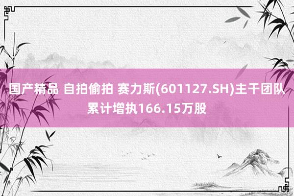 国产精品 自拍偷拍 赛力斯(601127.SH)主干团队累计增执166.15万股