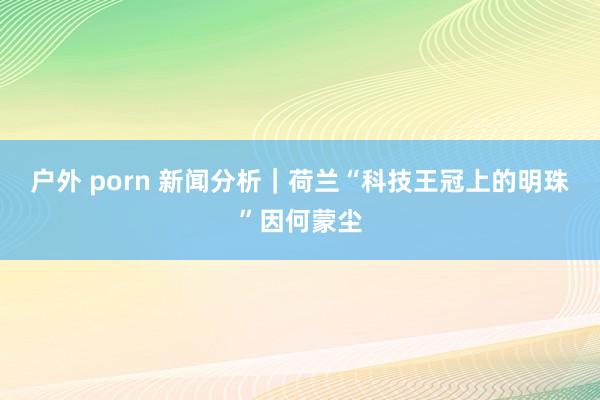 户外 porn 新闻分析｜荷兰“科技王冠上的明珠”因何蒙尘