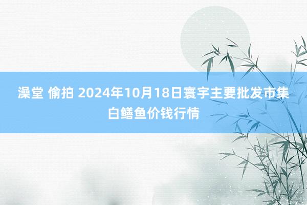 澡堂 偷拍 2024年10月18日寰宇主要批发市集白鳝鱼价钱行情