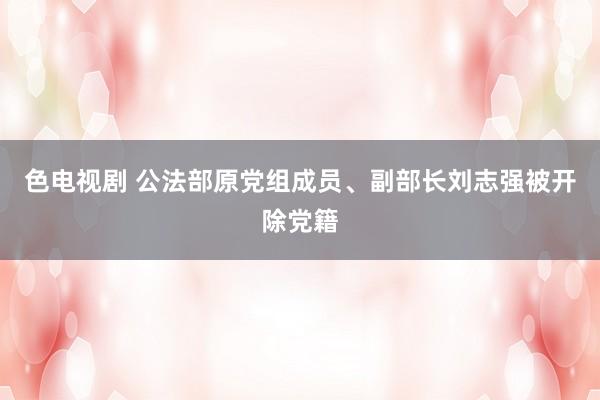 色电视剧 公法部原党组成员、副部长刘志强被开除党籍