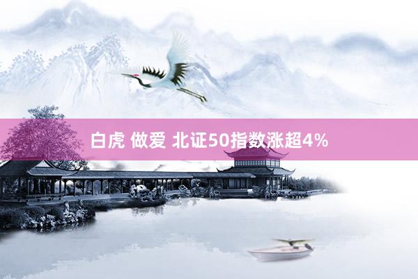 白虎 做爱 北证50指数涨超4%