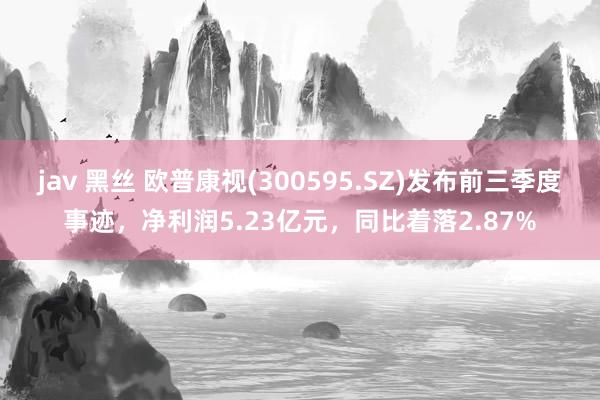 jav 黑丝 欧普康视(300595.SZ)发布前三季度事迹，净利润5.23亿元，同比着落2.87%