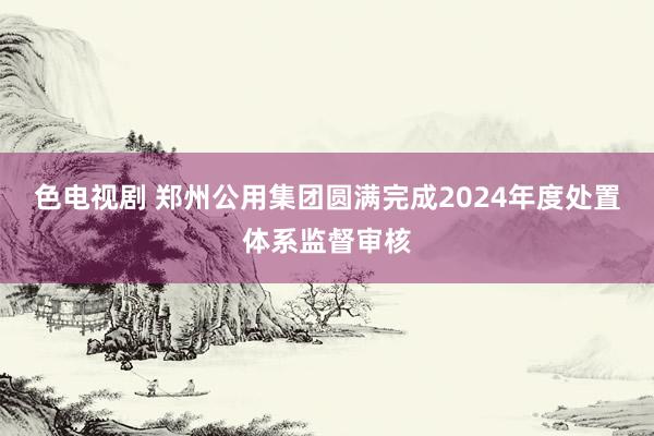 色电视剧 郑州公用集团圆满完成2024年度处置体系监督审核