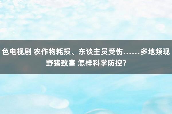 色电视剧 农作物耗损、东谈主员受伤……多地频现野猪致害 怎样科学防控？