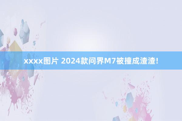 xxxx图片 2024款问界M7被撞成渣渣!