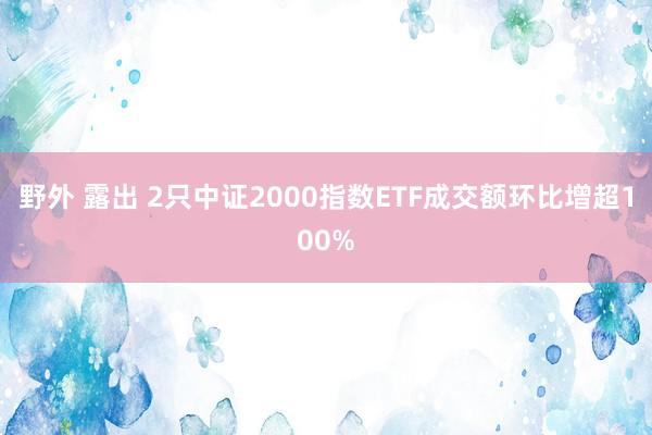 野外 露出 2只中证2000指数ETF成交额环比增超100%