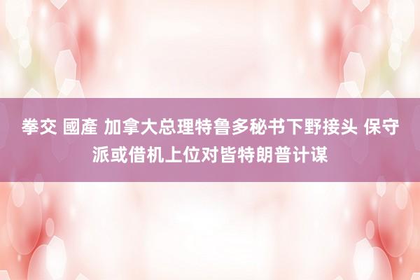 拳交 國產 加拿大总理特鲁多秘书下野接头 保守派或借机上位对皆特朗普计谋