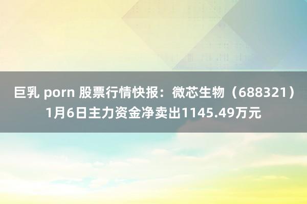 巨乳 porn 股票行情快报：微芯生物（688321）1月6日主力资金净卖出1145.49万元