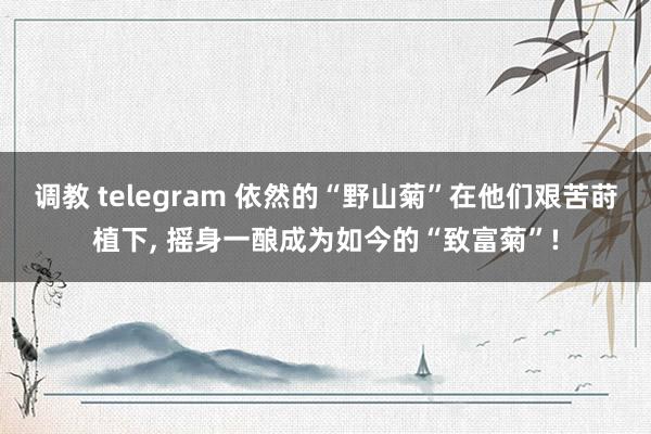 调教 telegram 依然的“野山菊”在他们艰苦莳植下， 摇身一酿成为如今的“致富菊”!