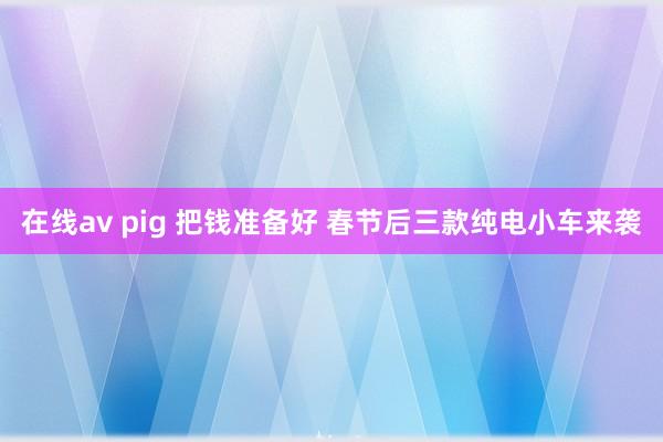 在线av pig 把钱准备好 春节后三款纯电小车来袭