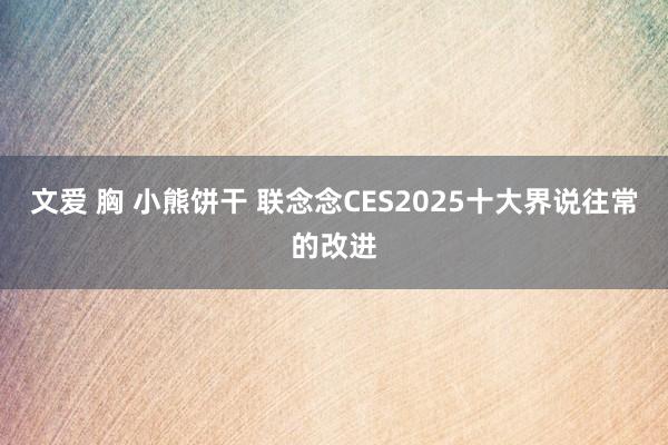 文爱 胸 小熊饼干 联念念CES2025十大界说往常的改进