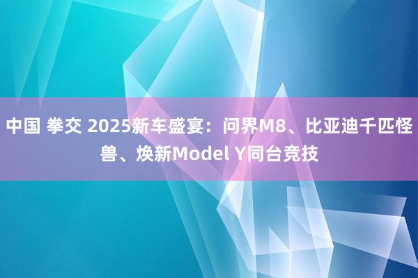 中国 拳交 2025新车盛宴：问界M8、比亚迪千匹怪兽、焕新Model Y同台竞技