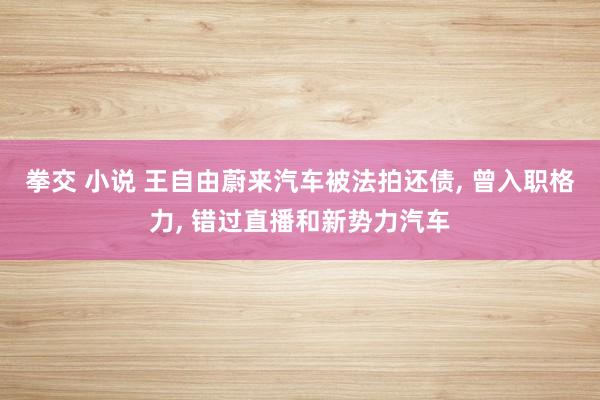 拳交 小说 王自由蔚来汽车被法拍还债， 曾入职格力， 错过直播和新势力汽车