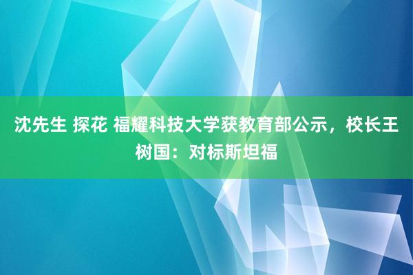 沈先生 探花 福耀科技大学获教育部公示，校长王树国：对标斯坦福