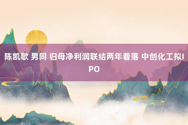 陈凯歌 男同 归母净利润联结两年着落 中创化工拟IPO