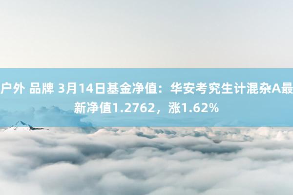 户外 品牌 3月14日基金净值：华安考究生计混杂A最新净值1.2762，涨1.62%